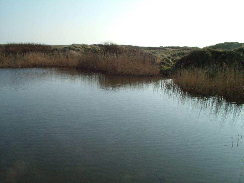 Click now to see this image full size.