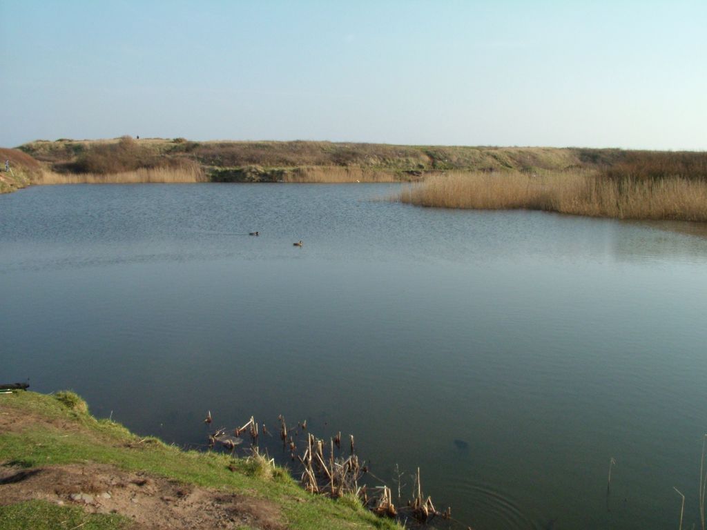 Click now to see this image full size.