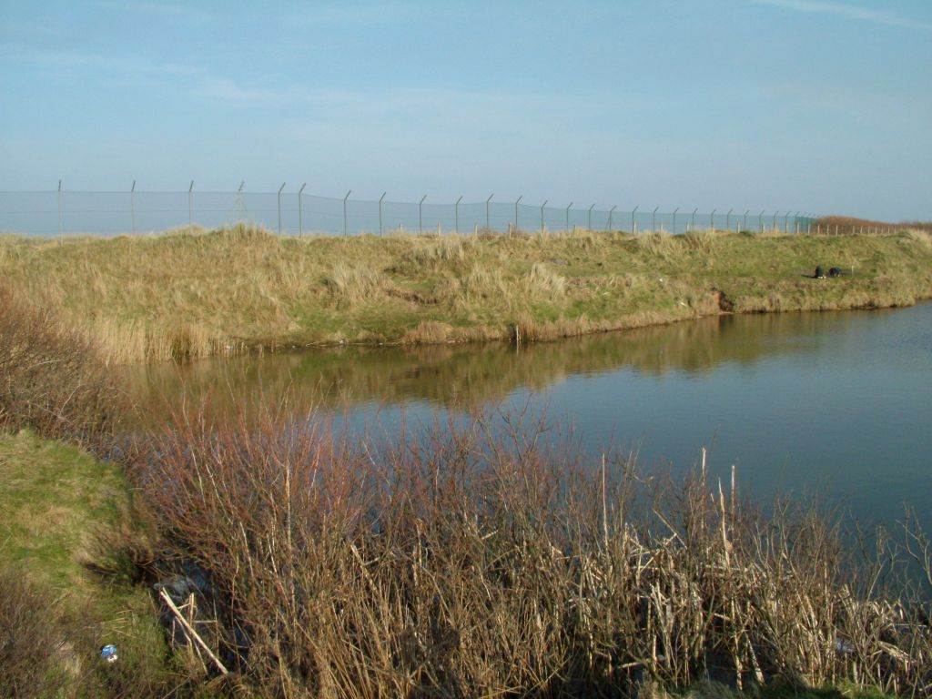 Click now to see this image full size.