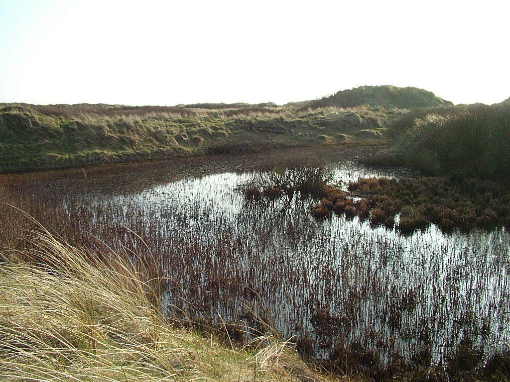 Click now to see this image full size.