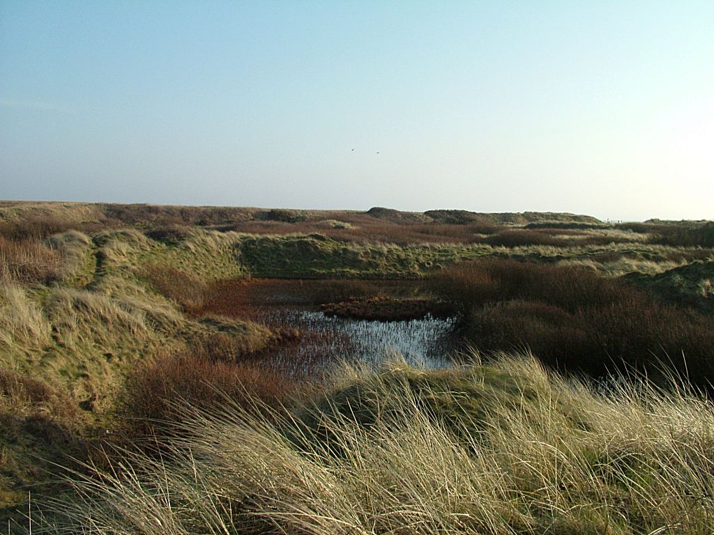 Click now to see this image full size.