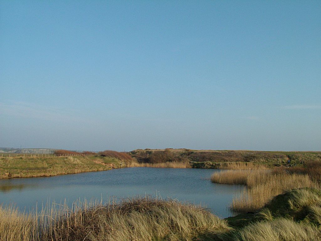 Click now to see this image full size.