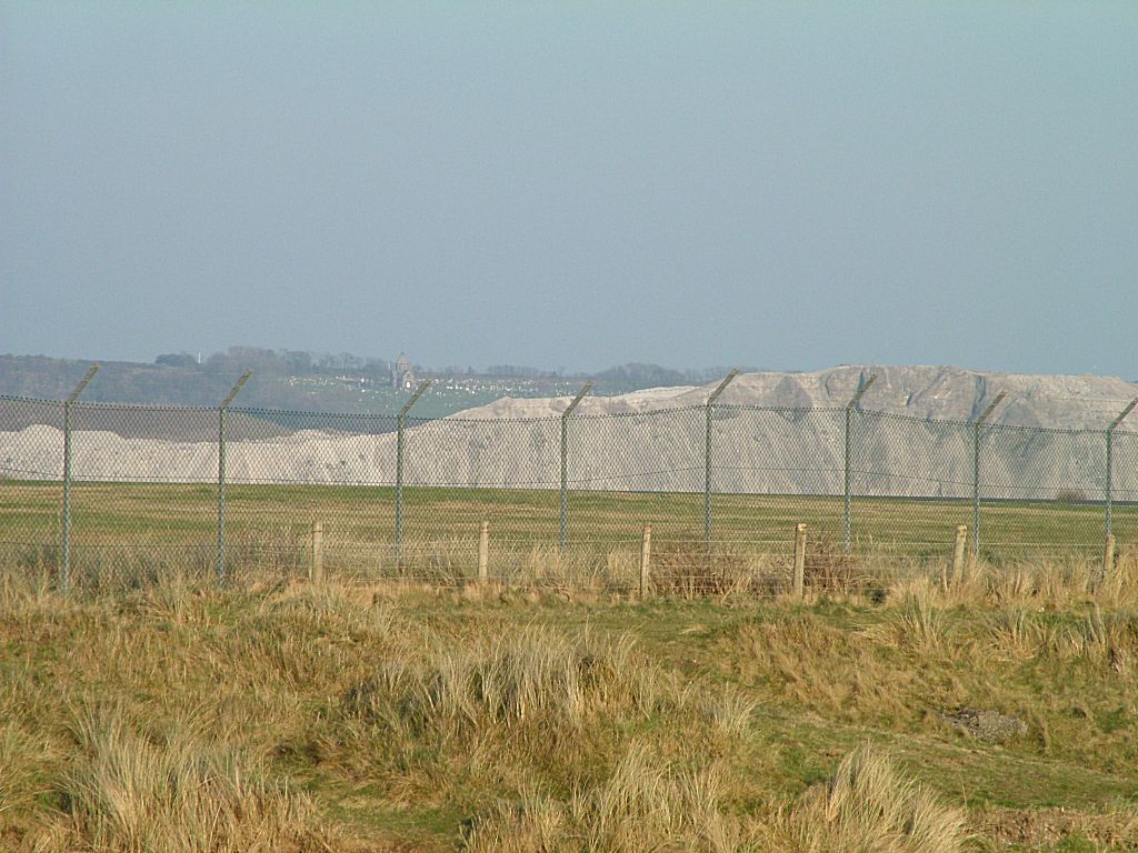 Click now to see this image full size.