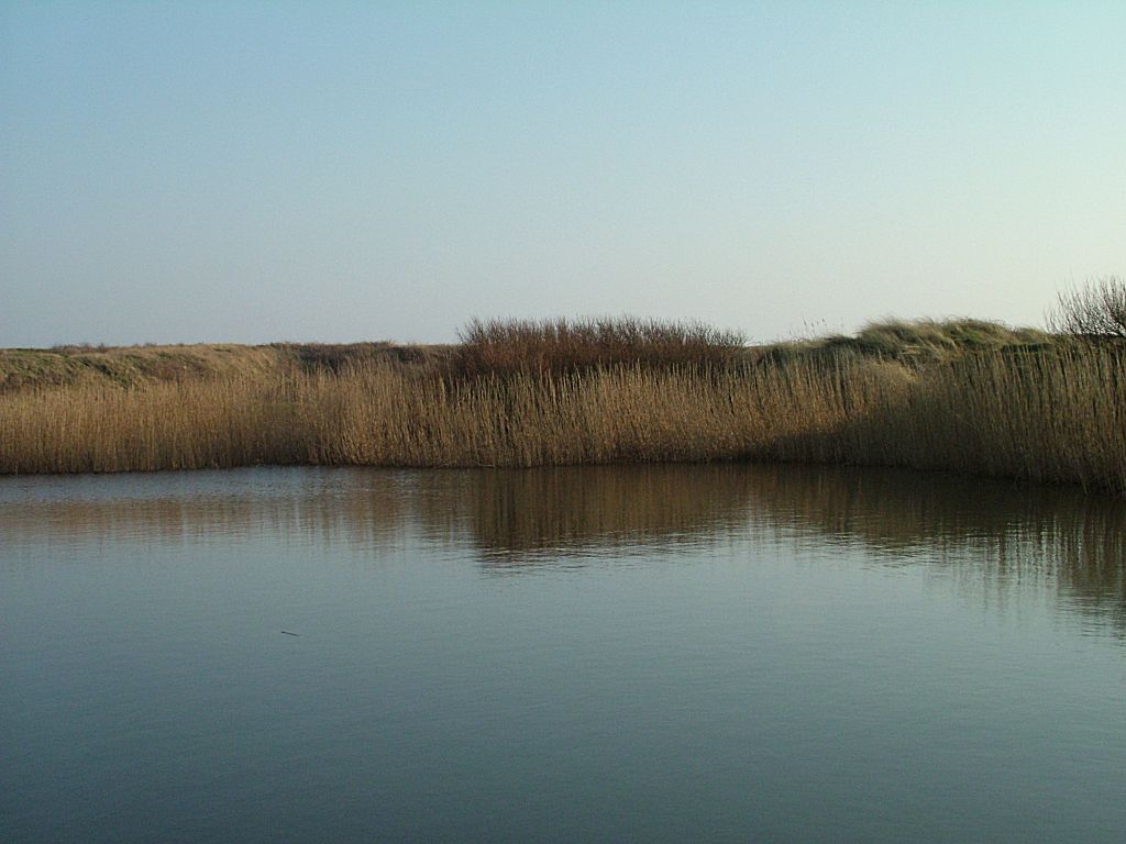 Click now to see this image full size.