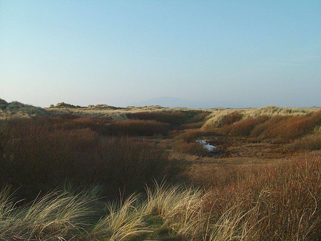 Click now to see this image full size.