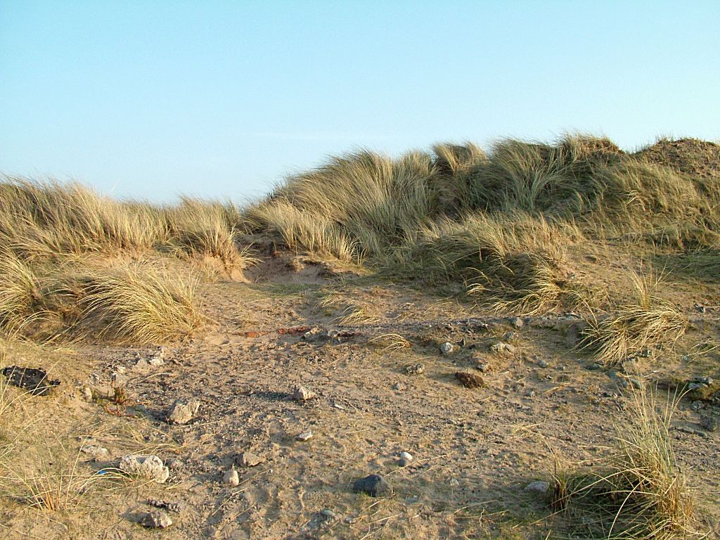 Click now to see this image full size.