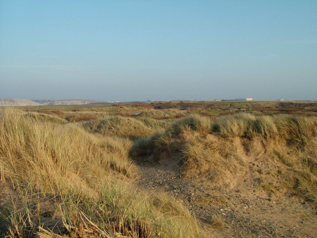 Click now to see this image full size.