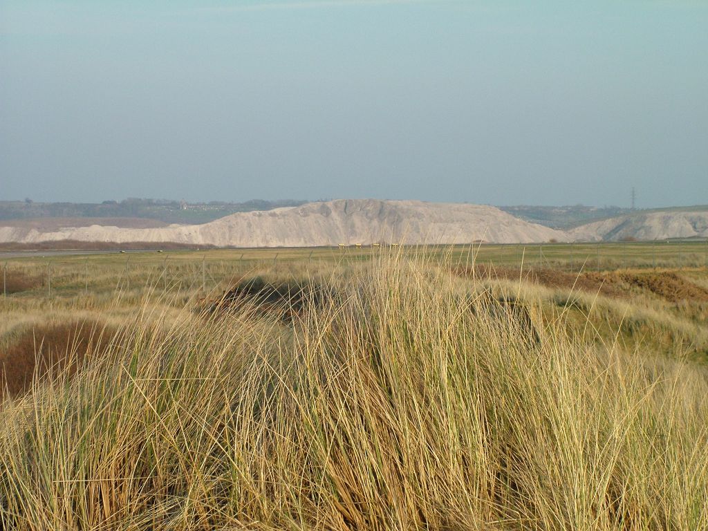 Click now to see this image full size.