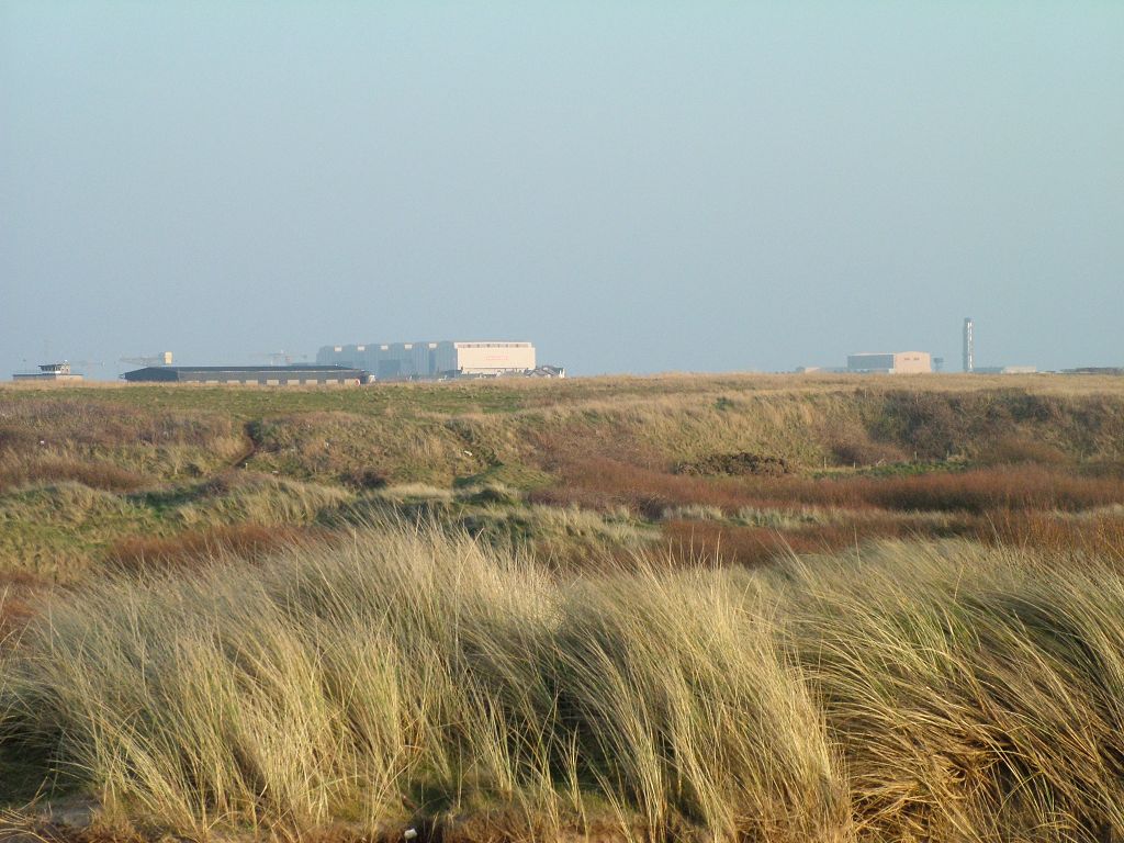 Click now to see this image full size.