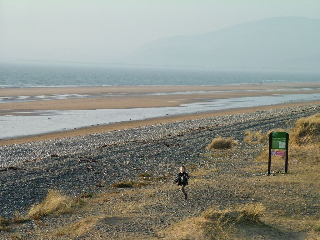 Click now to see this image full size.