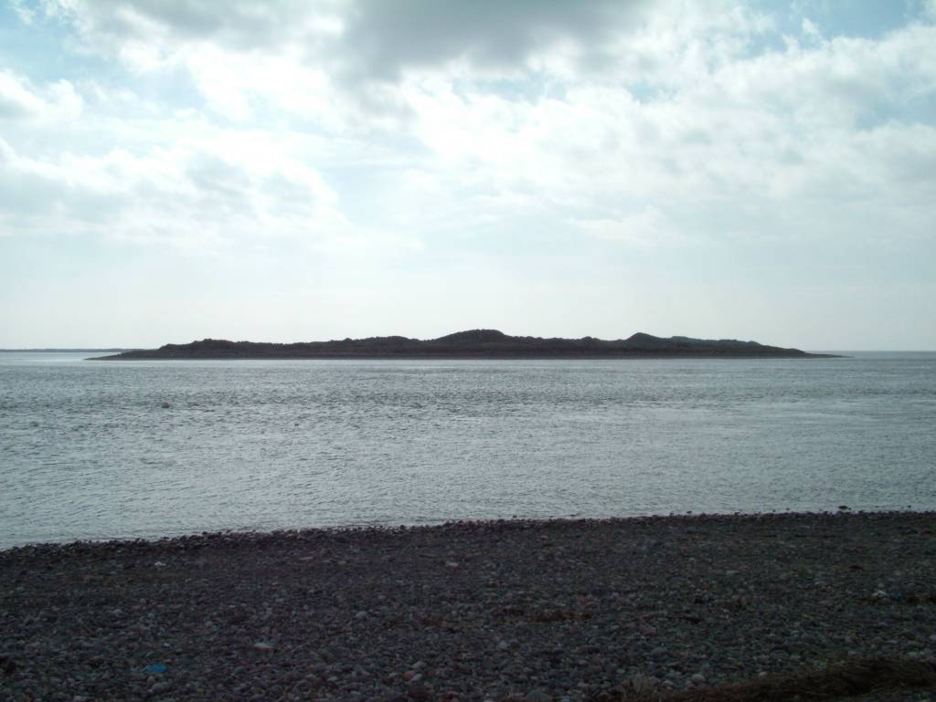 Click now to see this image full size.