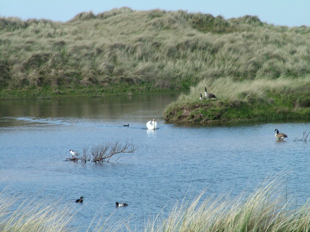 Click now to see this image full size.