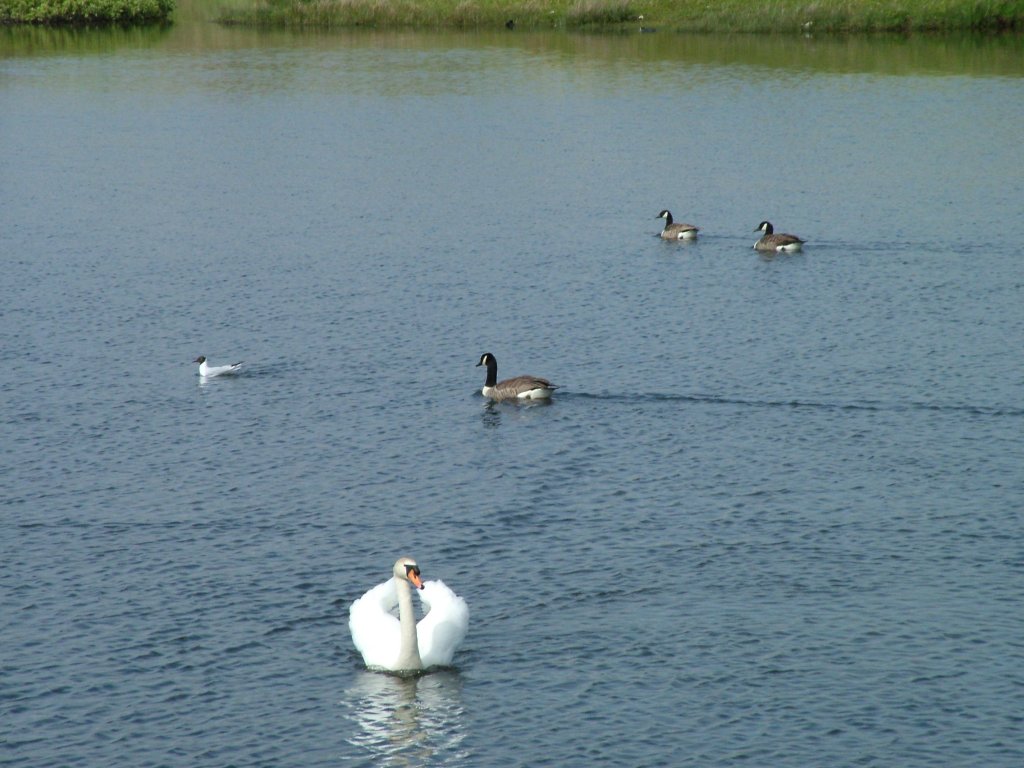 Click now to see this image full size.