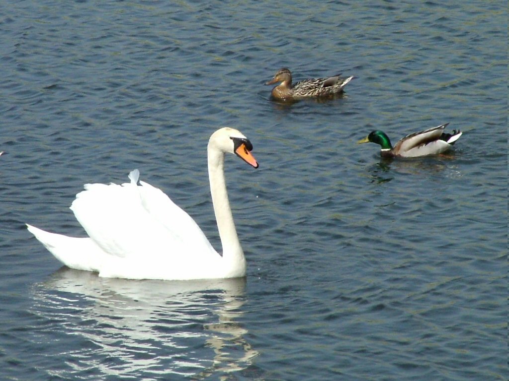 Click now to see this image full size.