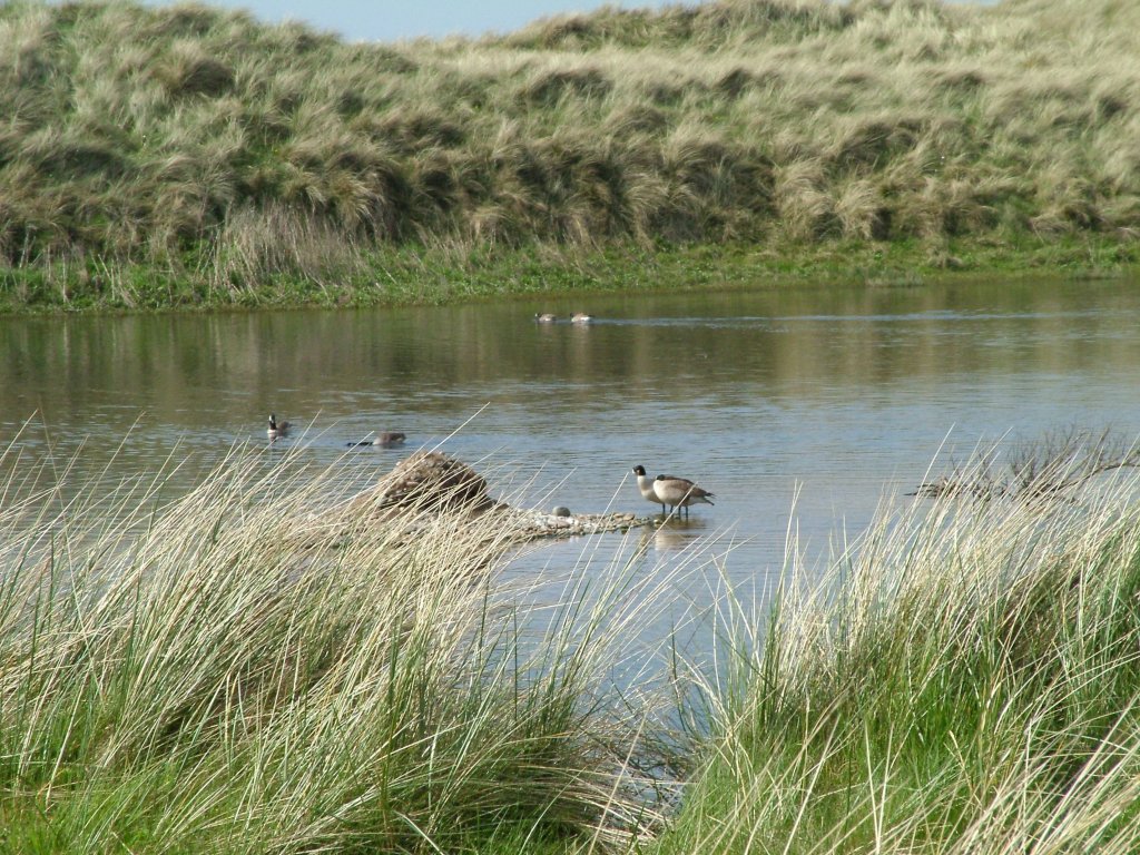 Click now to see this image full size.