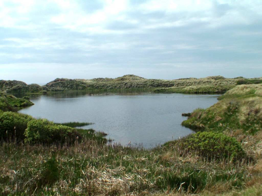 Click now to see this image full size.