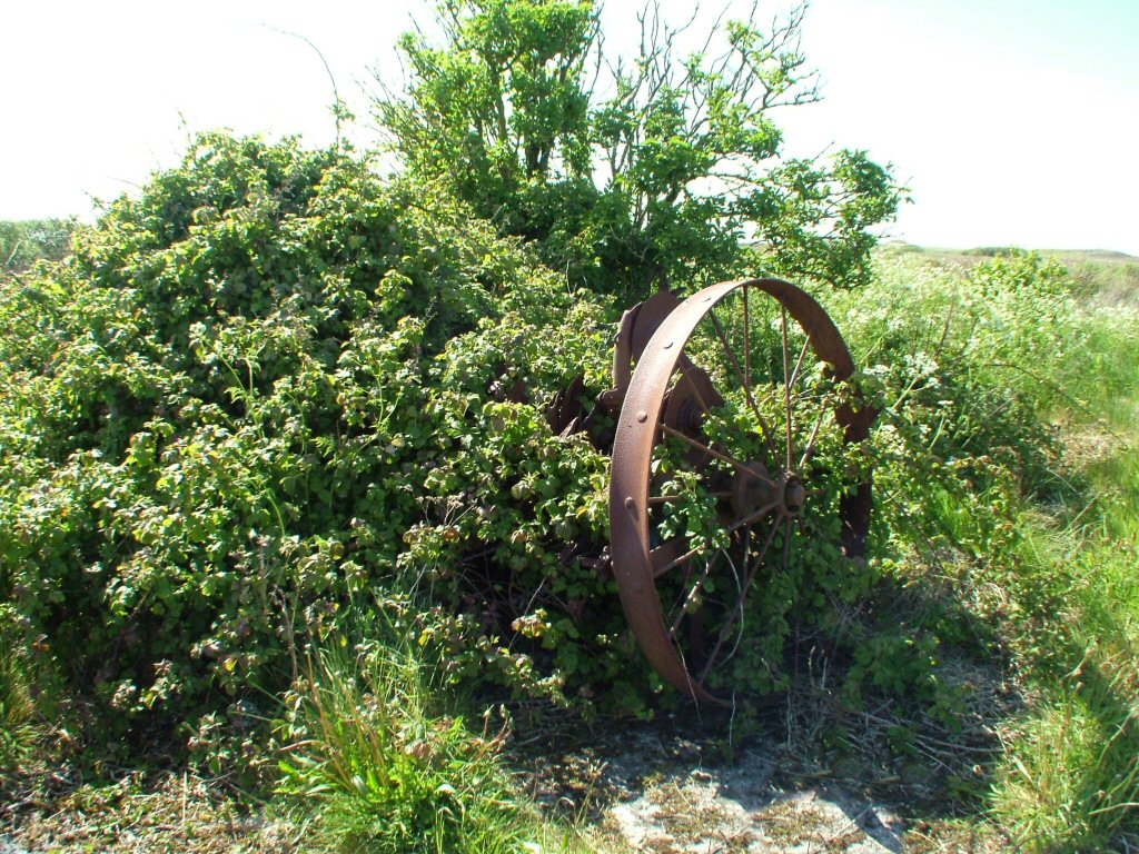 Click now to see this image full size.