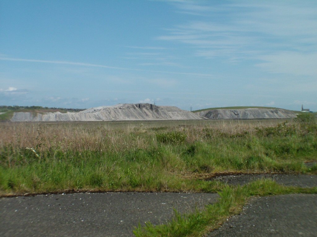 Click now to see this image full size.