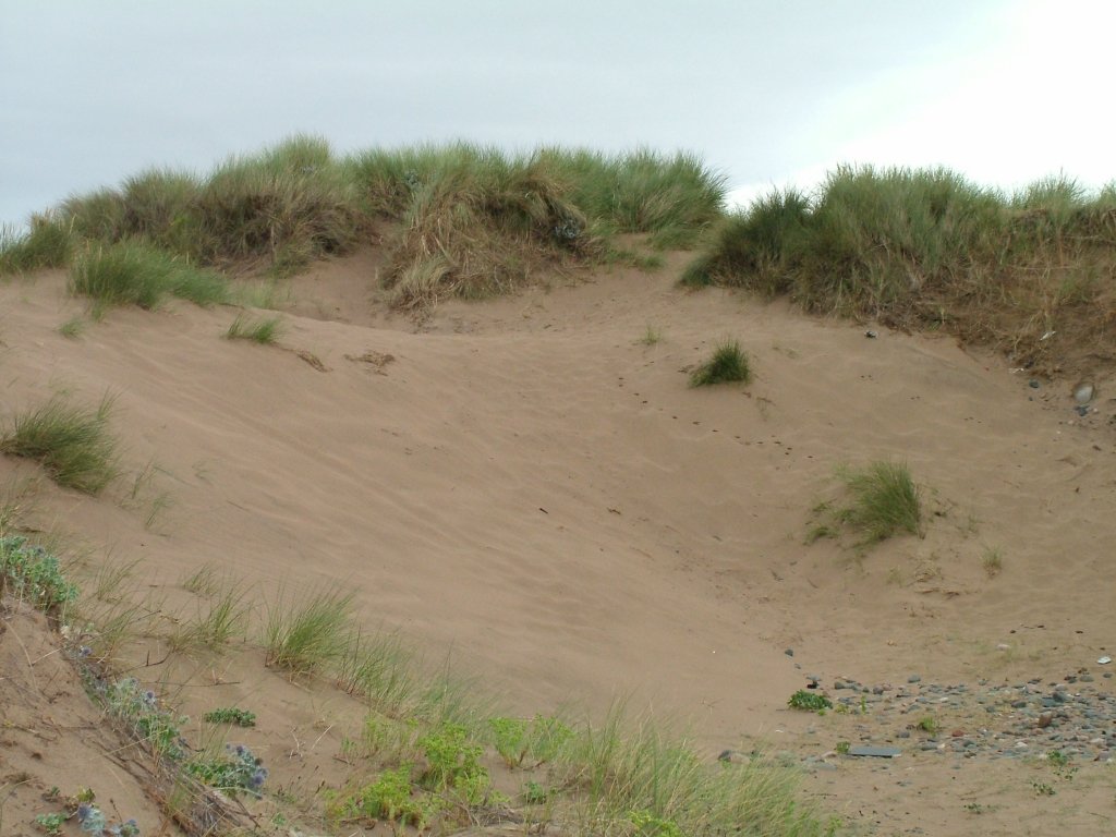 Click now to see this image full size.