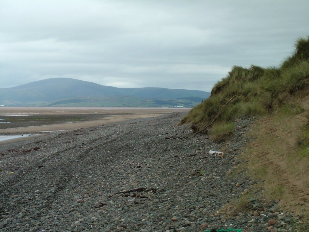 Click now to see this image full size.