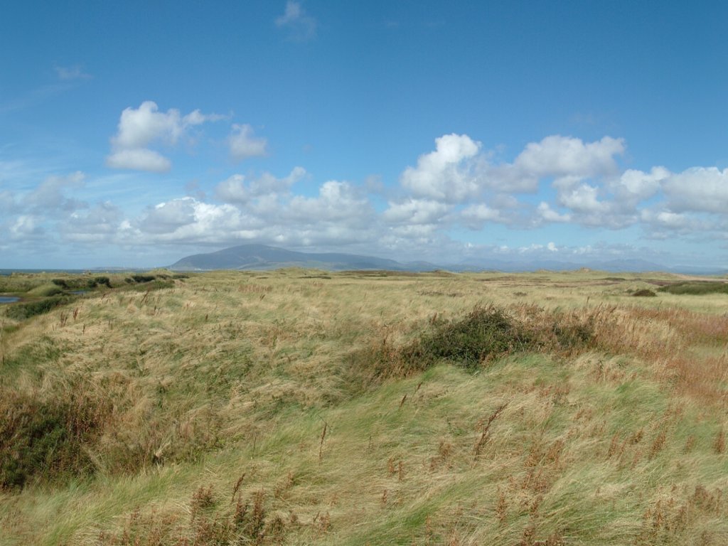 Click now to see this image full size.