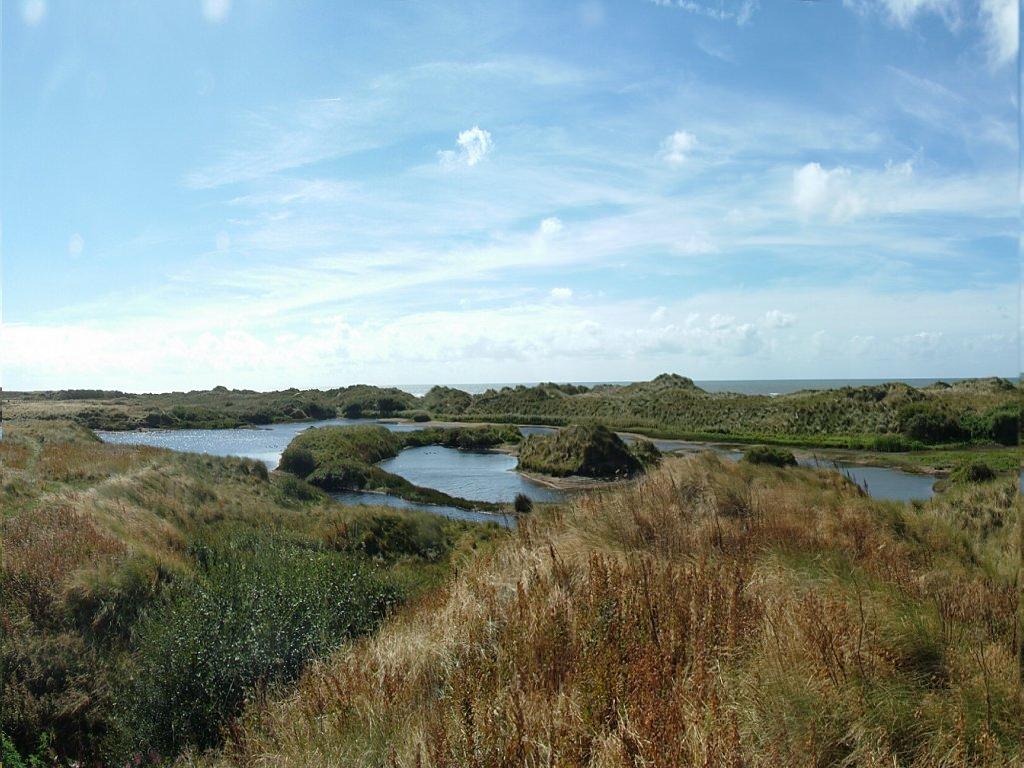 Click now to see this image full size.