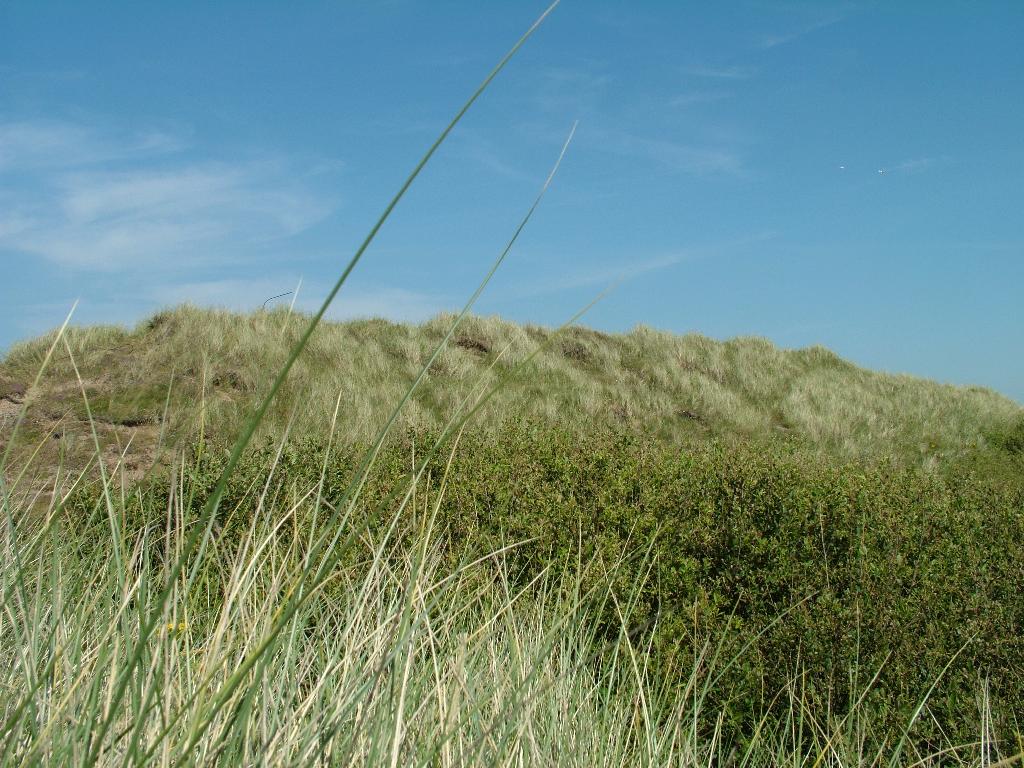 Click now to see this image full size.