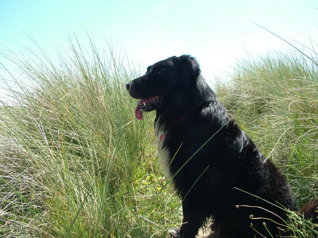 Click now to see this image full size.