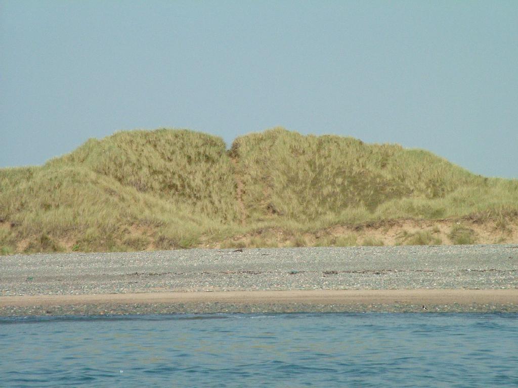 Click now to see this image full size.