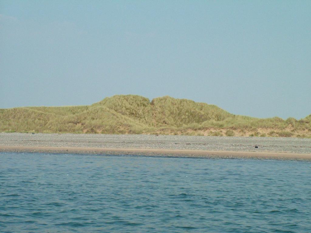 Click now to see this image full size.