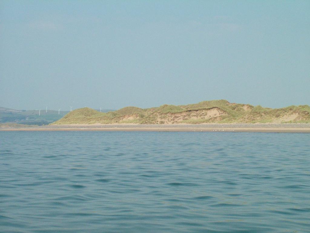 Click now to see this image full size.