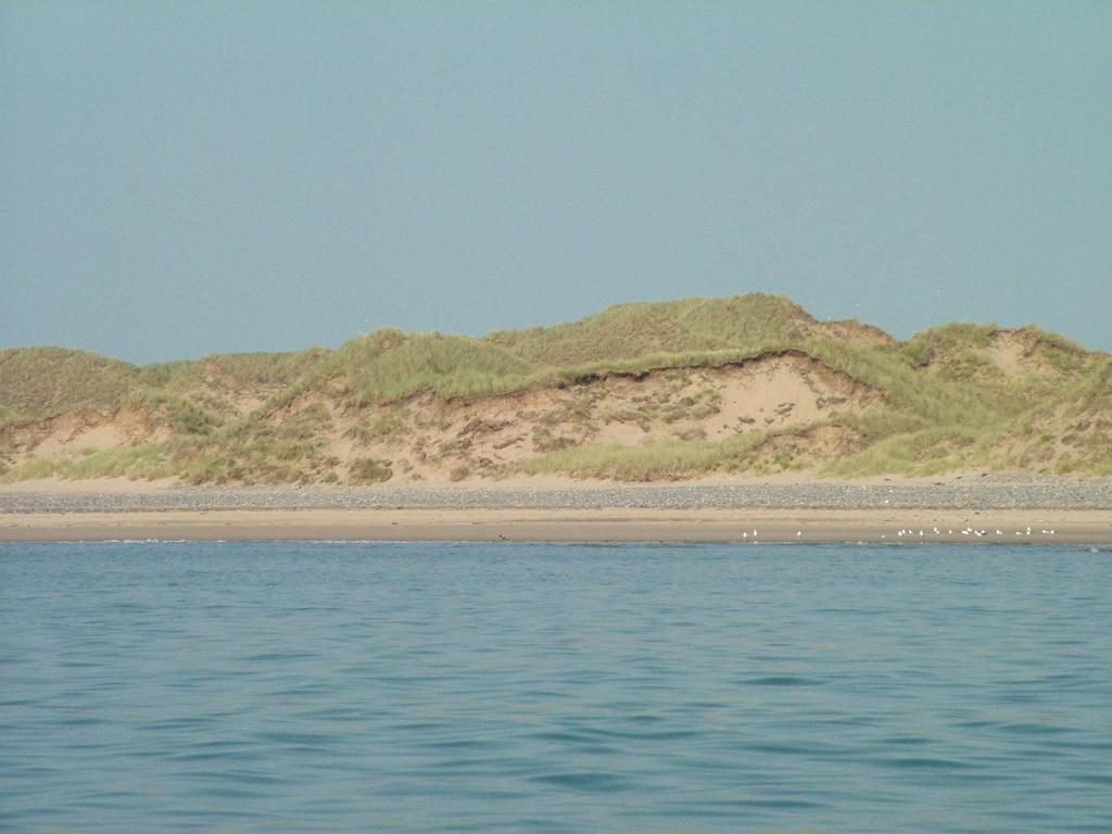 Click now to see this image full size.