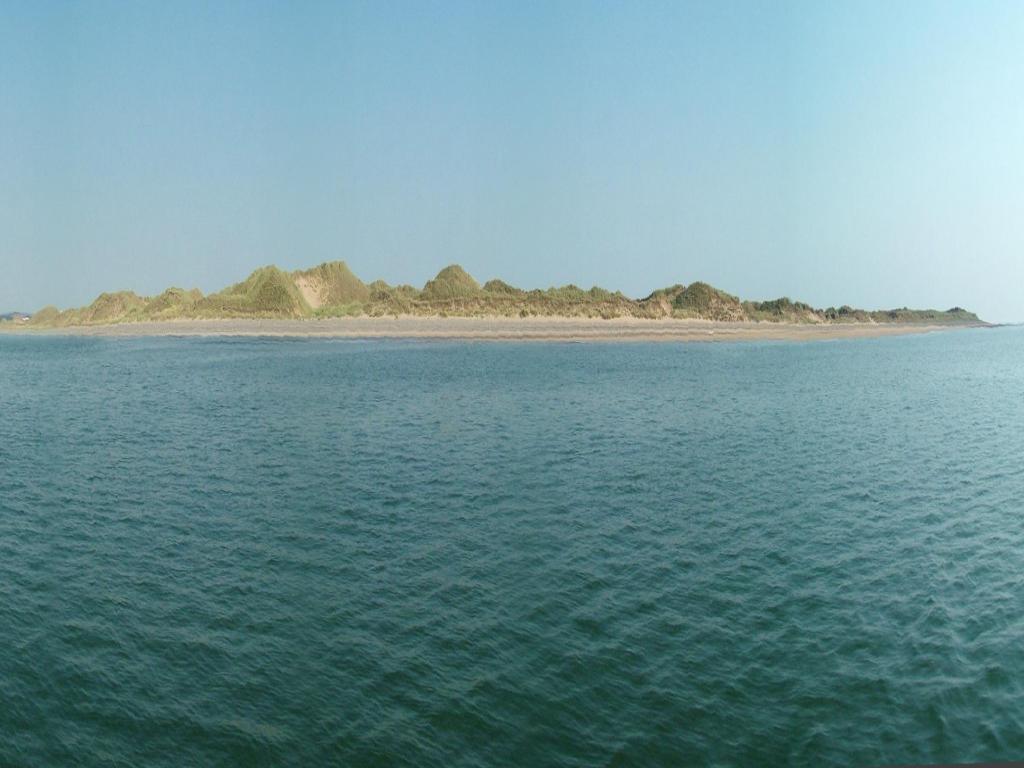 Click now to see this image full size.