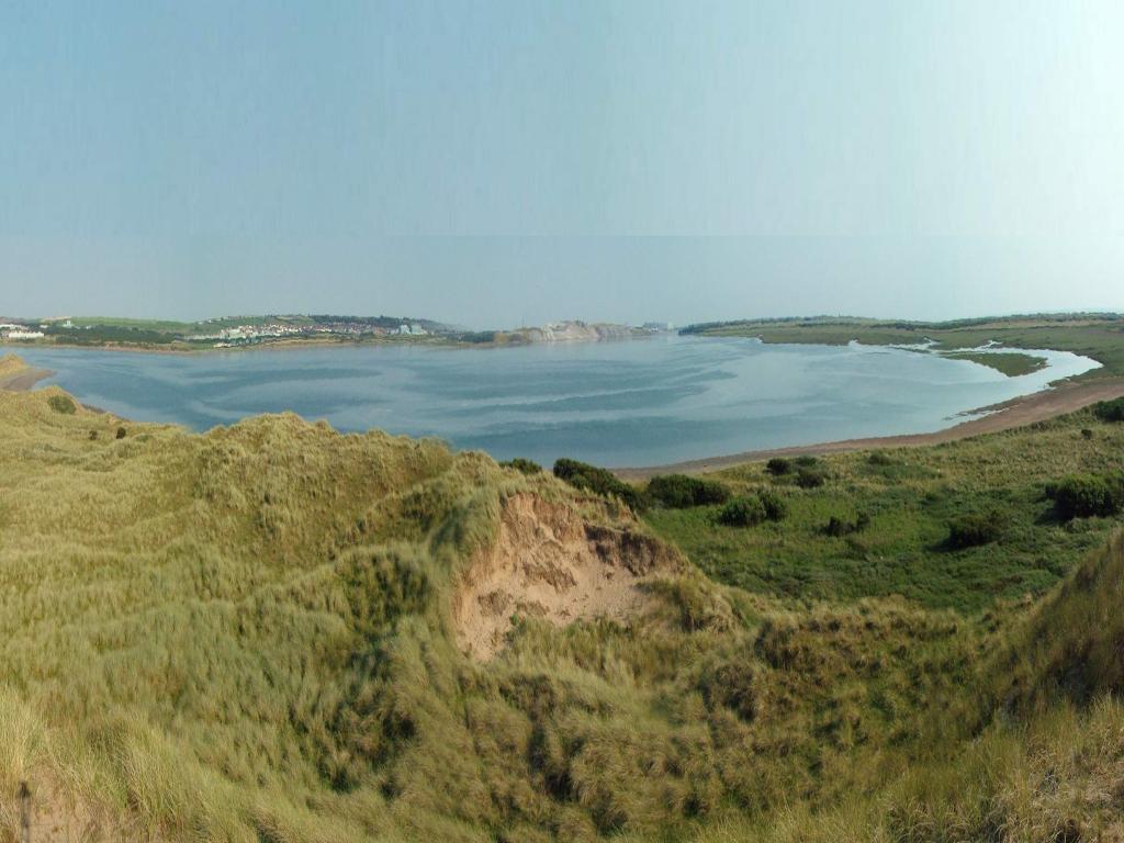 Click now to see this image full size.