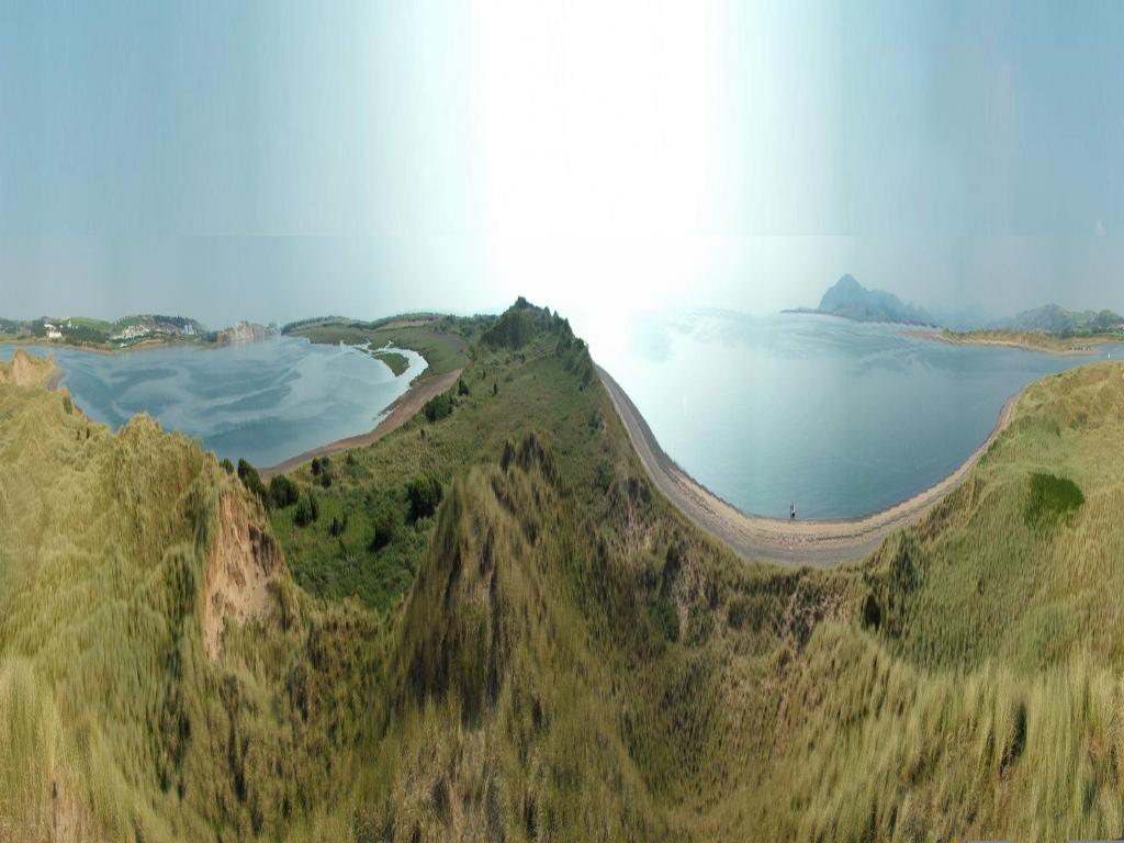 Click now to see this image full size.