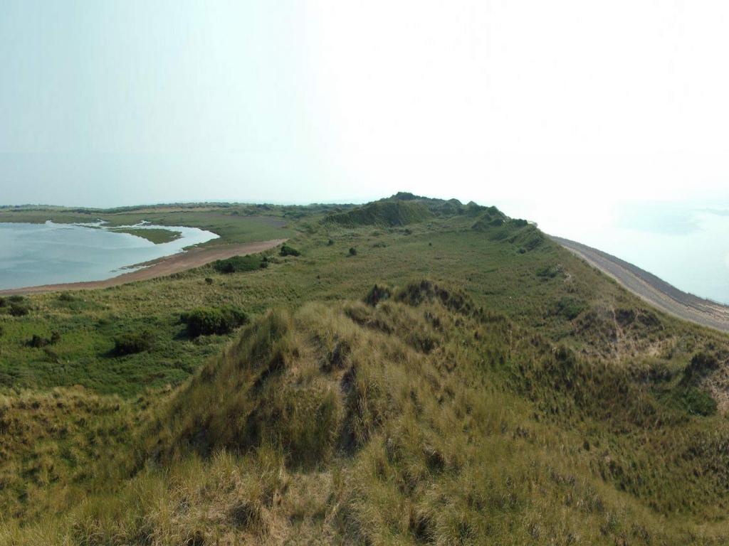 Click now to see this image full size.