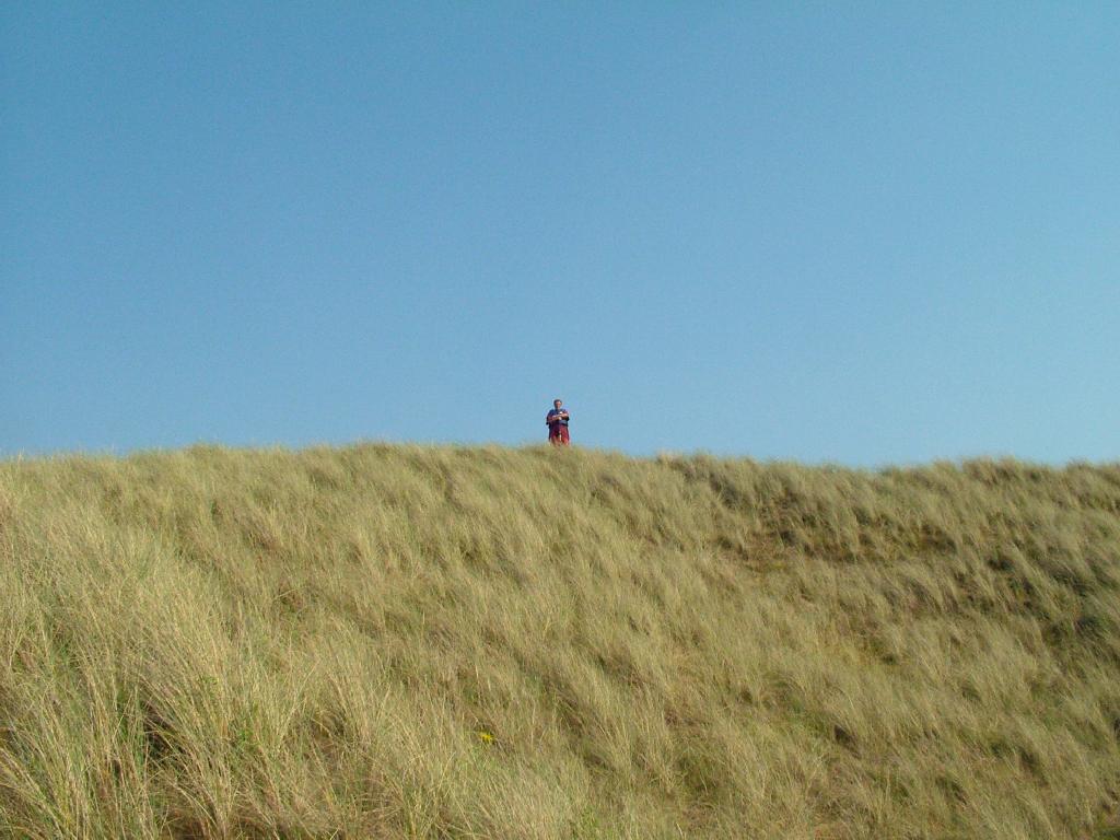 Click now to see this image full size.