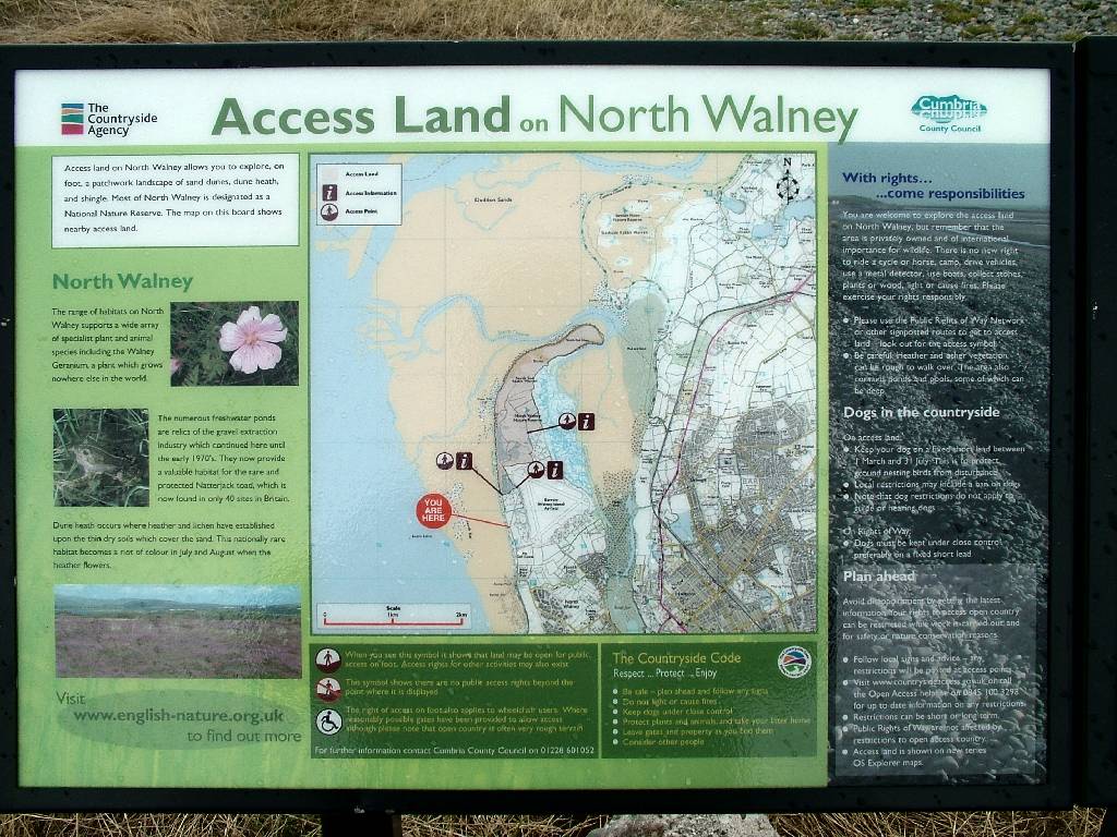 Click now to see this image full size.