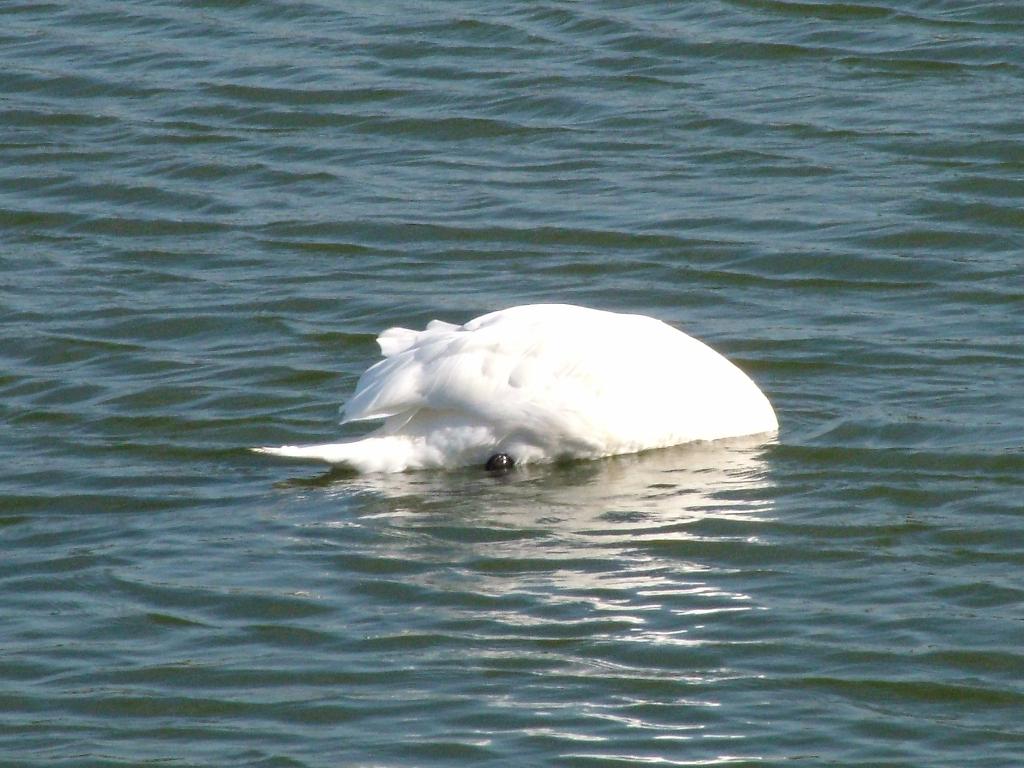 Click now to see this image full size.