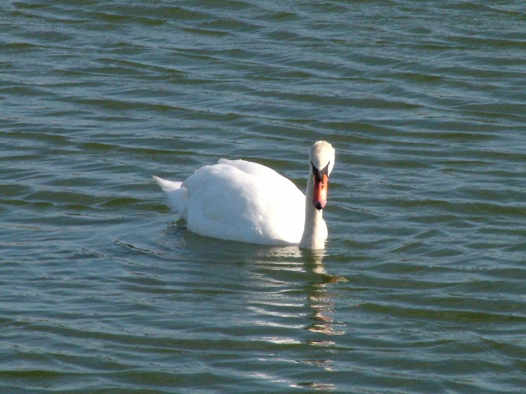 Click now to see this image full size.