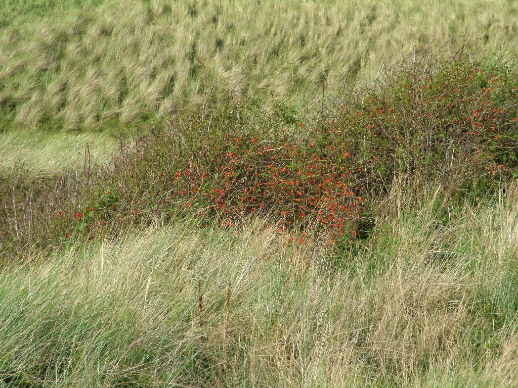 Click now to see this image full size.