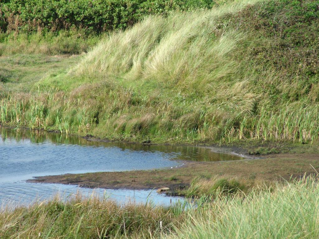 Click now to see this image full size.