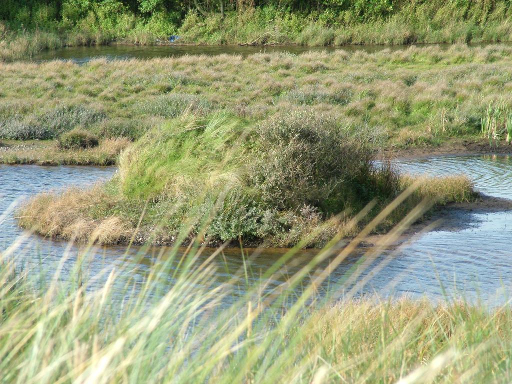 Click now to see this image full size.