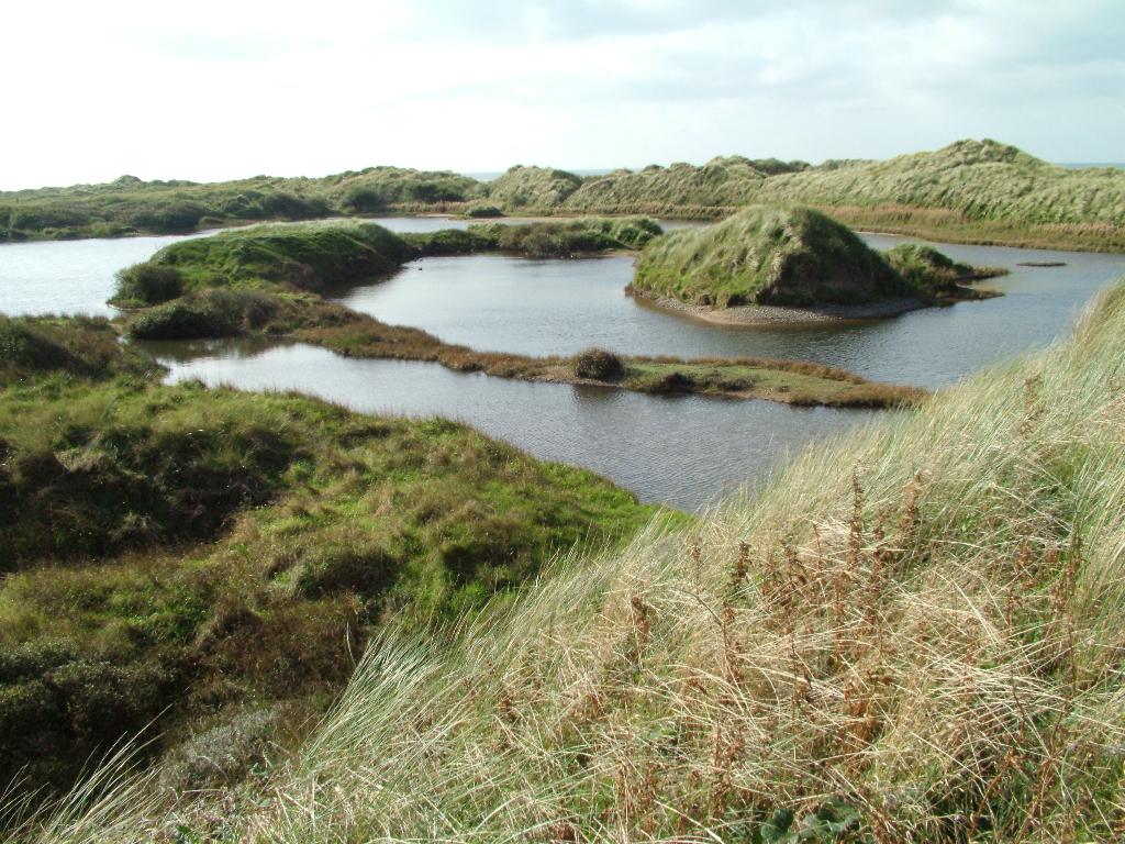 Click now to see this image full size.