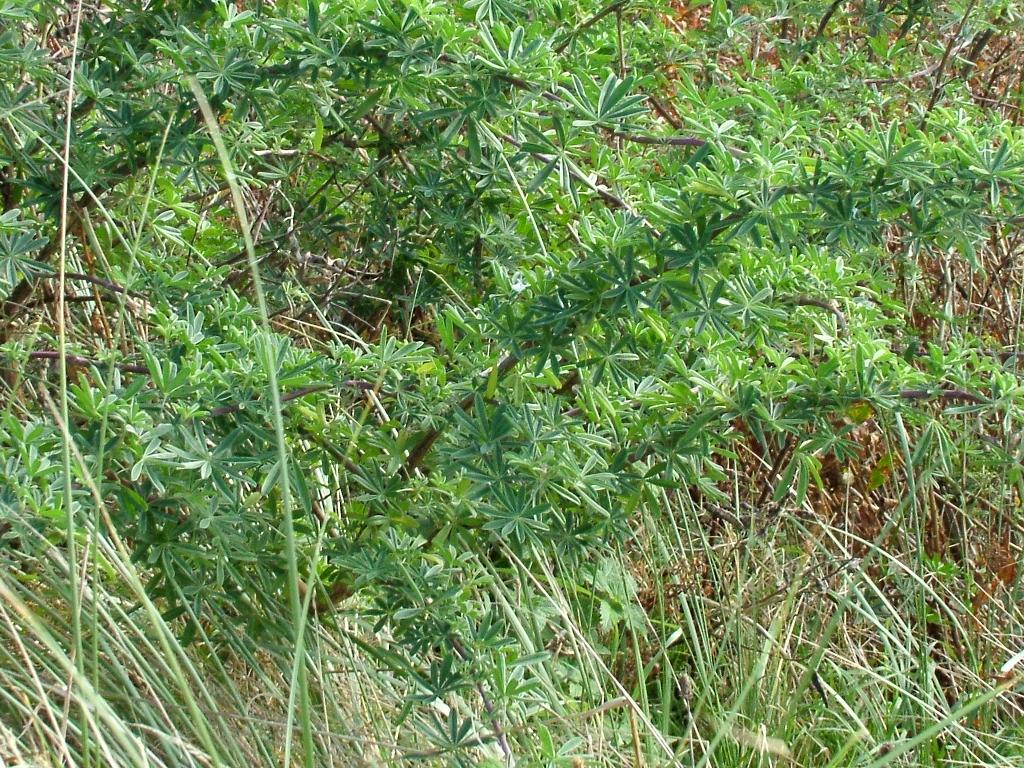 Click now to see this image full size.