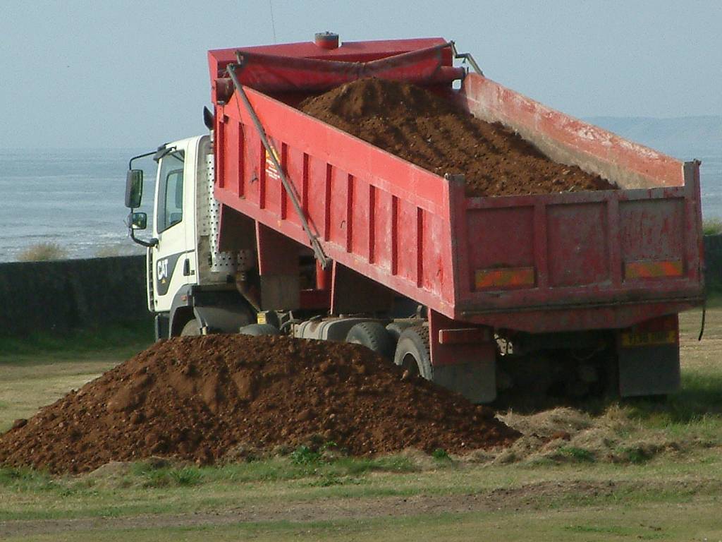 Click now to see this image full size.