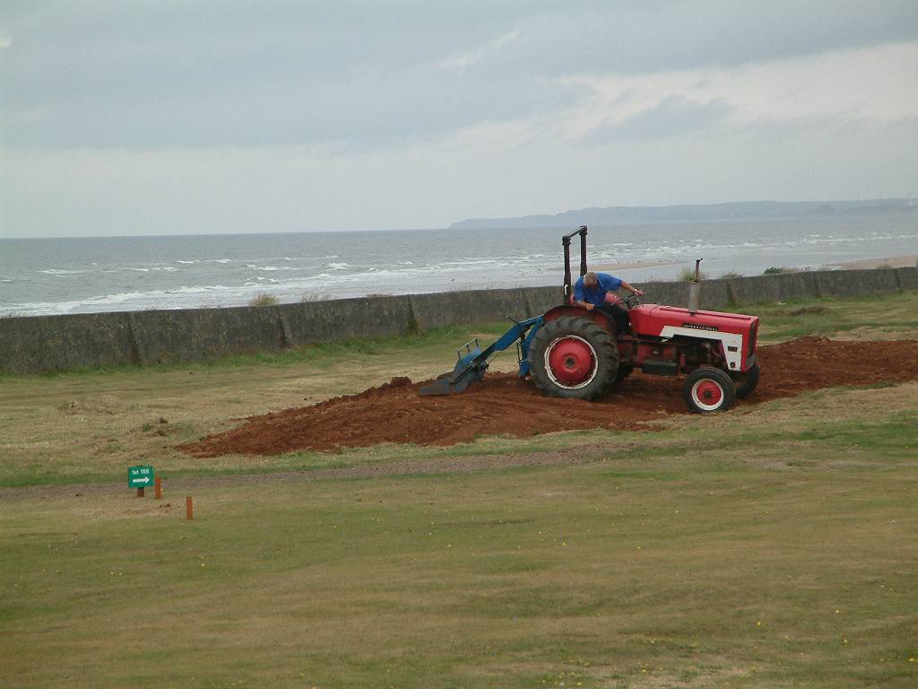 Click now to see this image full size.