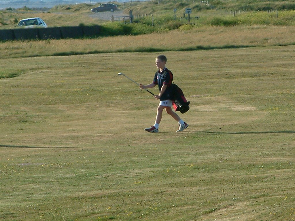 Click now to see this image full size.