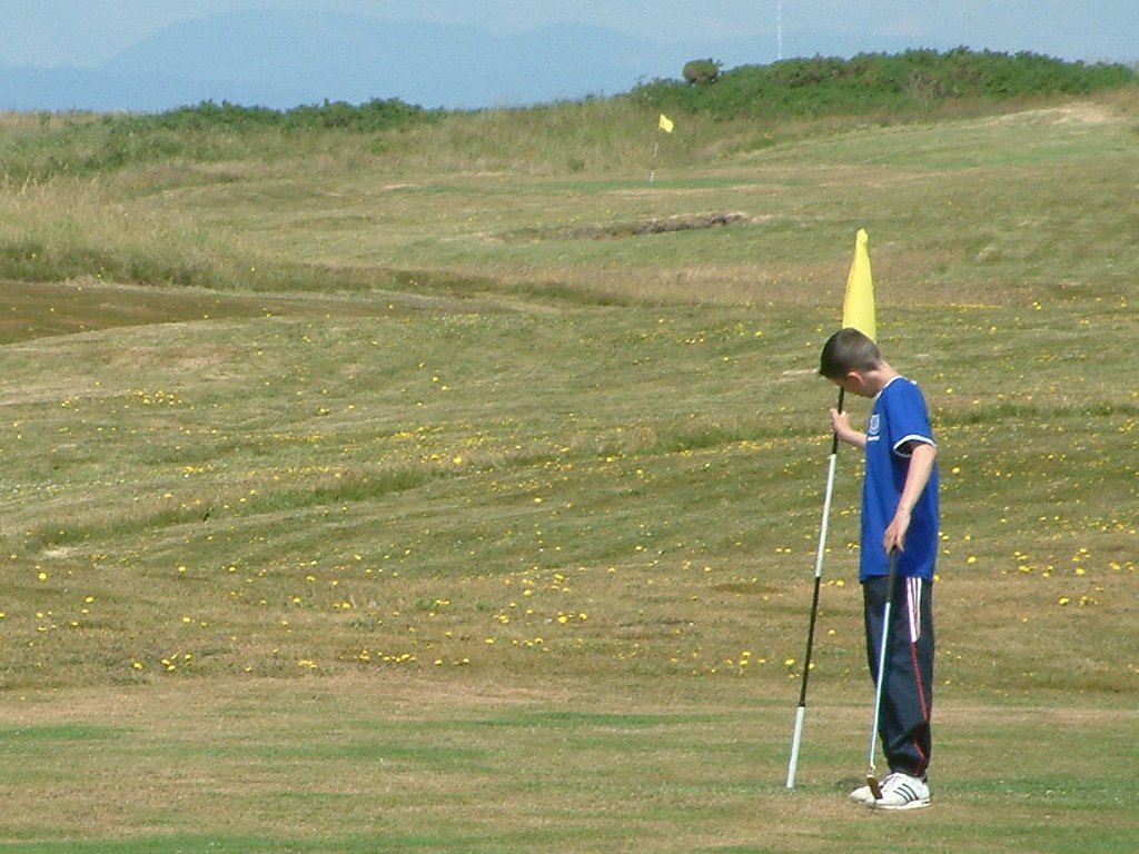 Click now to see this image full size.