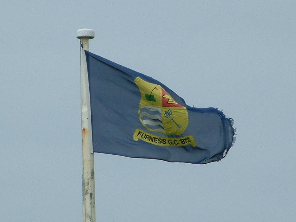 Click now to see this image full size.